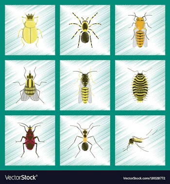 Assembly flat shading style insect honey wasp vector image