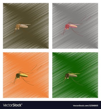 Assembly flat shading style insect vector image