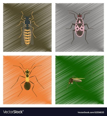 Assembly flat shading style insect vector image