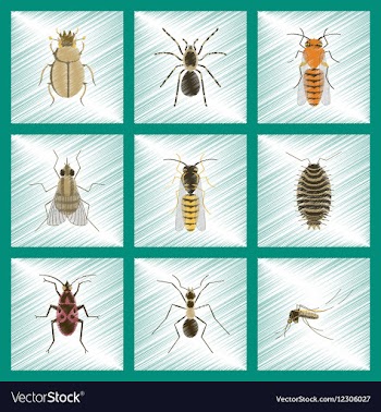 Assembly flat shading style insect vector image