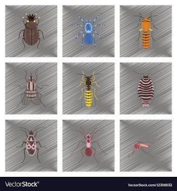 Assembly flat shading style insect vector image