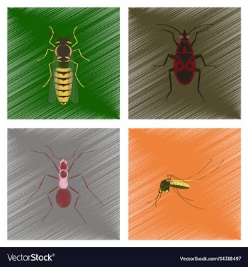 Assembly flat shading style insect vector image
