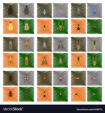 Assembly flat shading style insect vector image