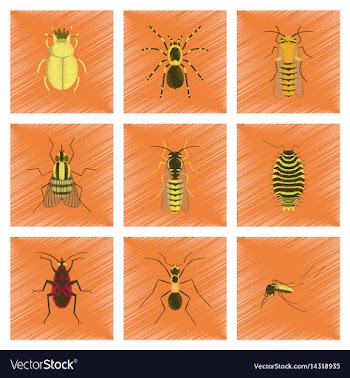 Assembly flat shading style insect vector image