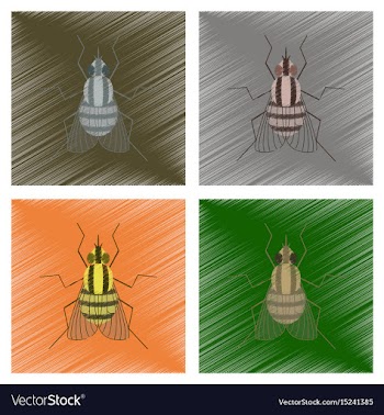 Assembly flat shading style insect vector image