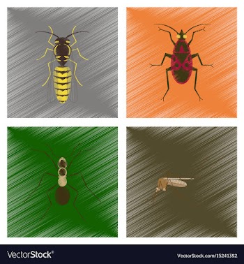 Assembly flat shading style insect vector image
