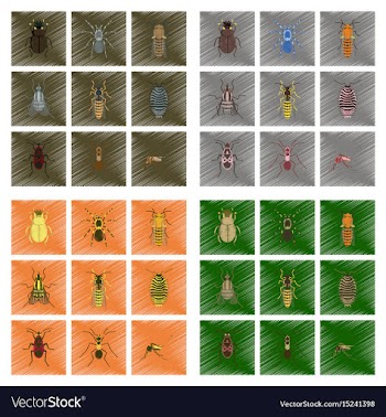 Assembly flat shading style insect vector image