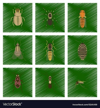 Assembly flat shading style insect vector image