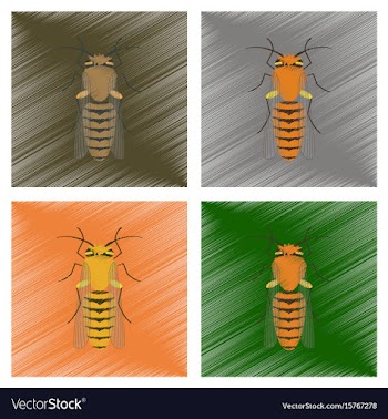 Assembly flat shading style insect vector image