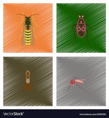 Assembly flat shading style insect vector image