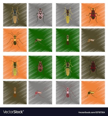 Assembly flat shading style insect vector image
