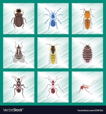 Assembly flat shading style insect vector image