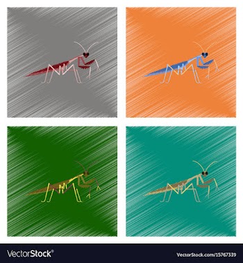 Assembly flat shading style mantis vector image