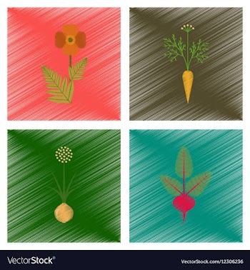 Assembly flat shading style papaver vector image