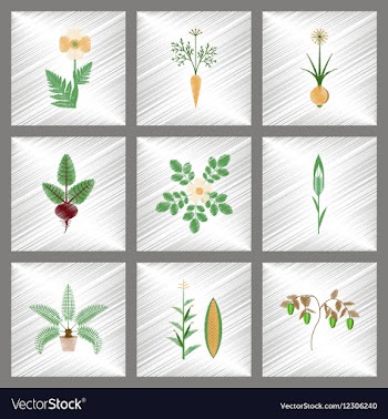 Assembly flat shading style papaver vector image