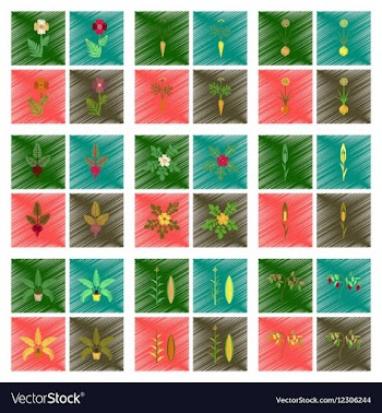 Assembly flat shading style papaver vector image