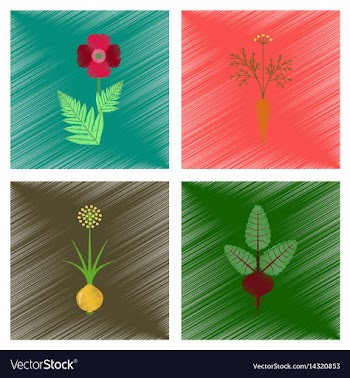 Assembly flat shading style papaver vector image