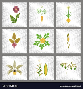 Assembly flat shading style papaver vector image