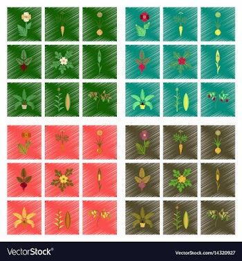 Assembly flat shading style papaver vector image