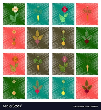 Assembly flat shading style papaver vector image