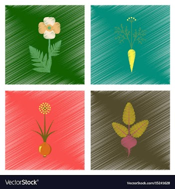 Assembly flat shading style papaver vector image