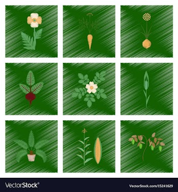 Assembly flat shading style papaver vector image