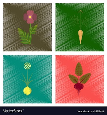 Assembly flat shading style papaver vector image