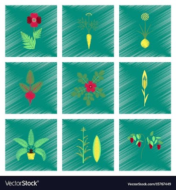 Assembly flat shading style papaver vector image