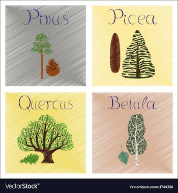 Assembly flat shading style Pinus vector image