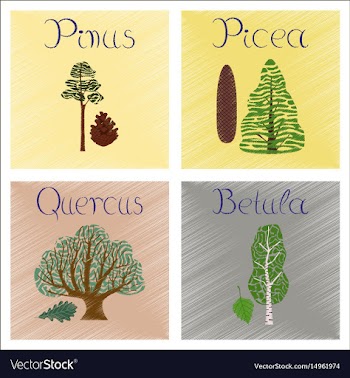 Assembly flat shading style pinus vector image