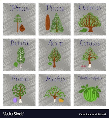 Assembly flat shading style pinus vector image