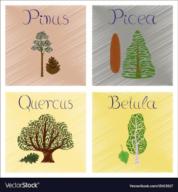 Assembly flat shading style pinus vector image