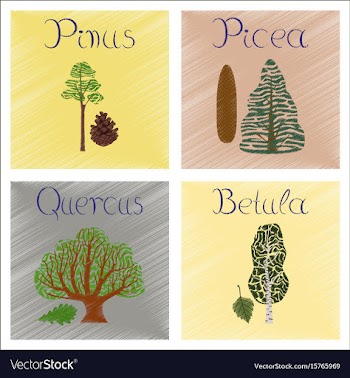 Assembly flat shading style pinus vector image