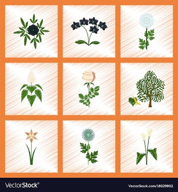 Assembly flat shading style plant flower paeonia vector image