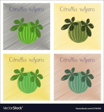 Assembly flat shading style plant vector image