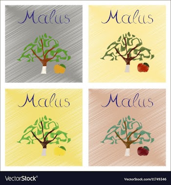 Assembly flat shading style plant vector image