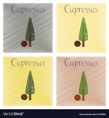 Assembly flat shading style plant vector image