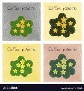 Assembly flat shading style plant vector image