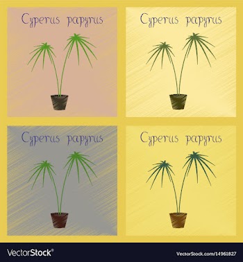 Assembly flat shading style plant vector image