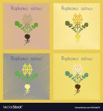 Assembly flat shading style plant vector image