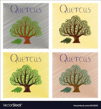 Assembly flat shading style plant vector image