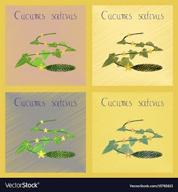 Assembly flat shading style plant vector image