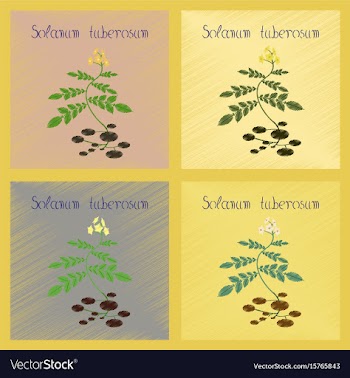 Assembly flat shading style plant vector image