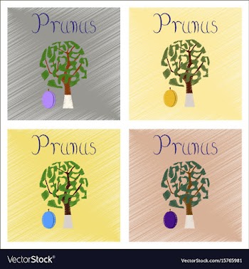 Assembly flat shading style plant vector image