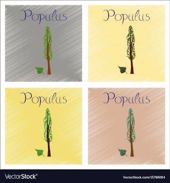 Assembly flat shading style plant vector image