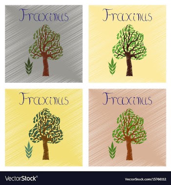 Assembly flat shading style plant vector image