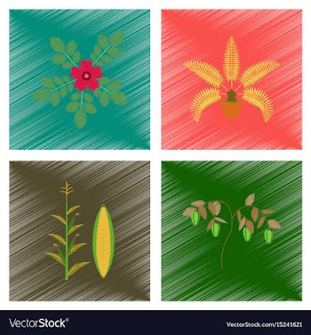 Assembly flat shading style rosa vector image