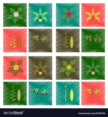 Assembly flat shading style rosa vector image