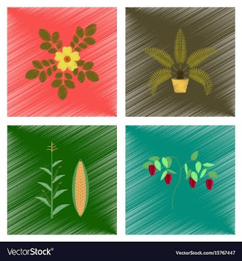 Assembly flat shading style rosa vector image