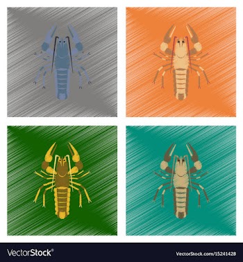 Assembly flat shading style seafood vector image